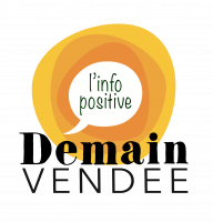 image Logo_DemainVendee_typo_noir.png (0.2MB)